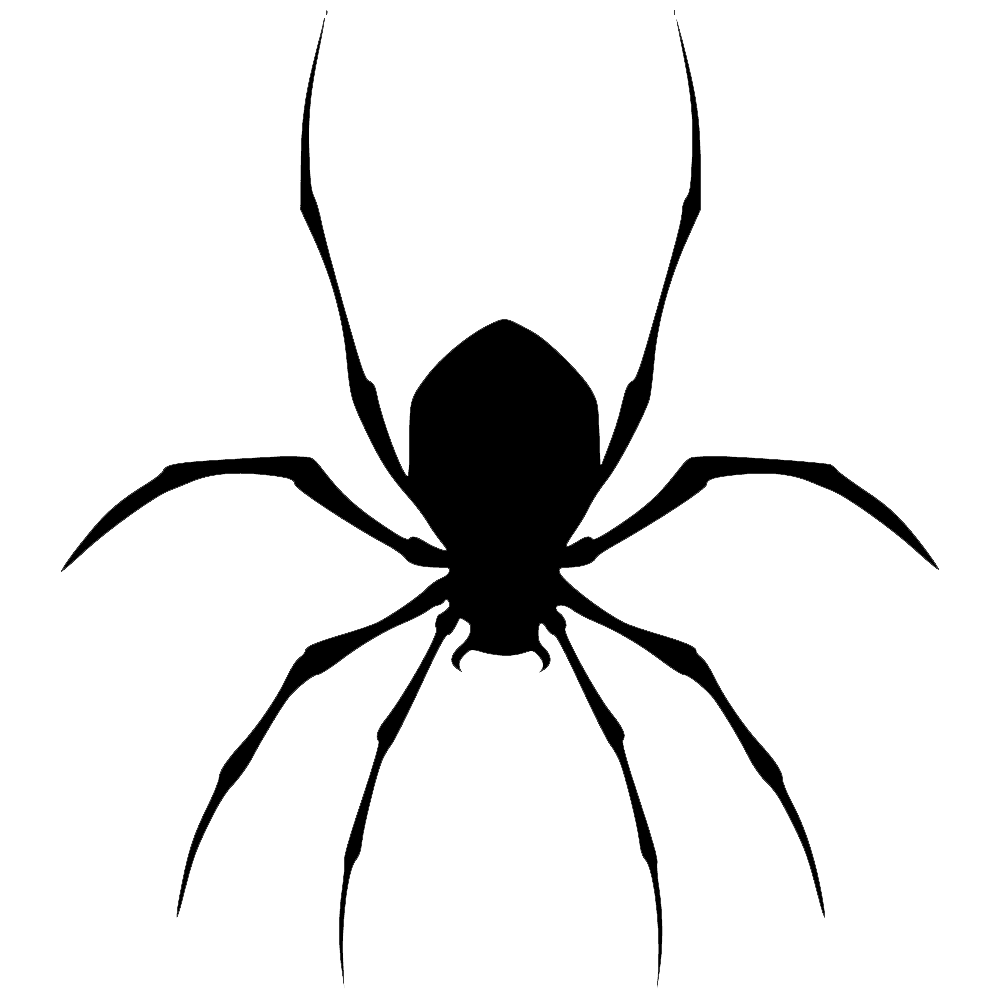 Black Spider  Transparent Photo