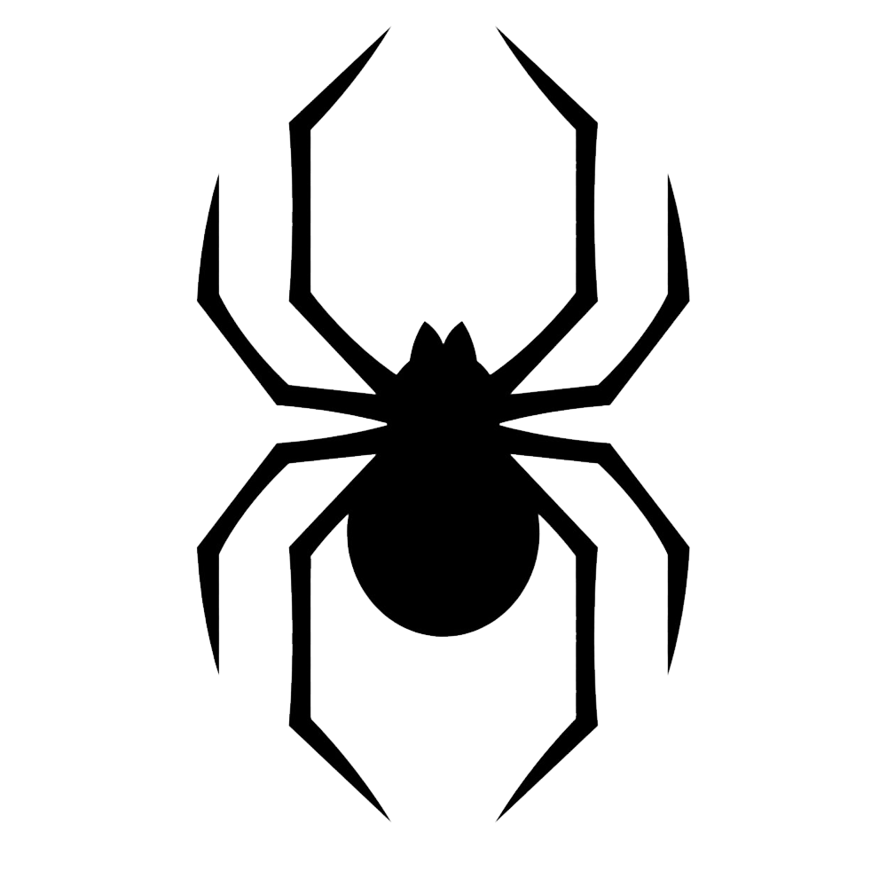 Black Spider  Transparent Clipart