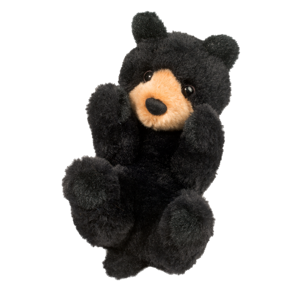 Black Teddy Bear Transparent Photo