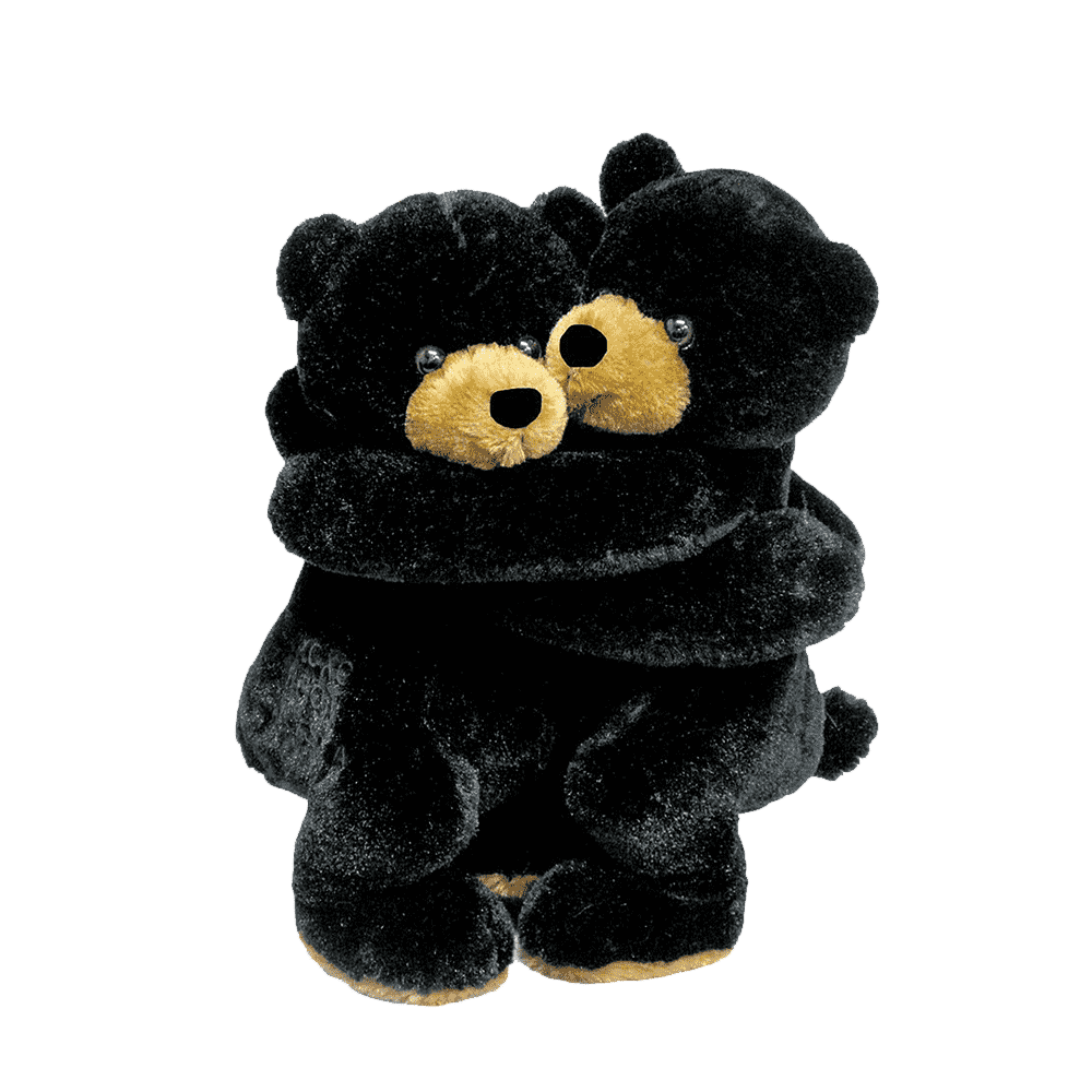 Black Teddy Bear Transparent Gallery