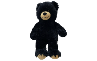 Black Teddy Bear PNG