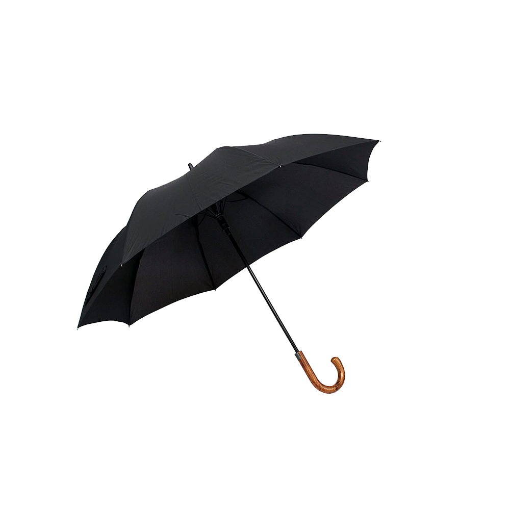 Black Umbrella Transparent Photo