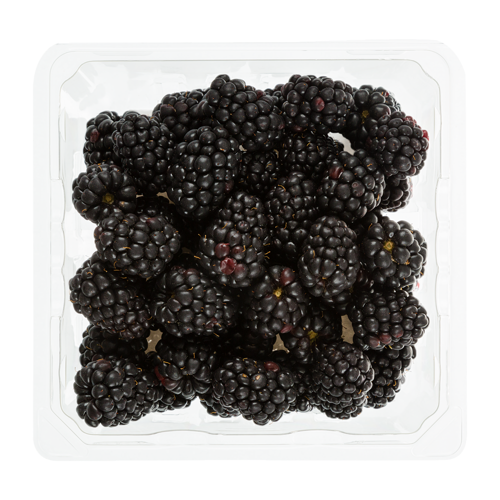 Blackberries  Transparent Image