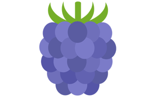 Blackberry Sticker PNG