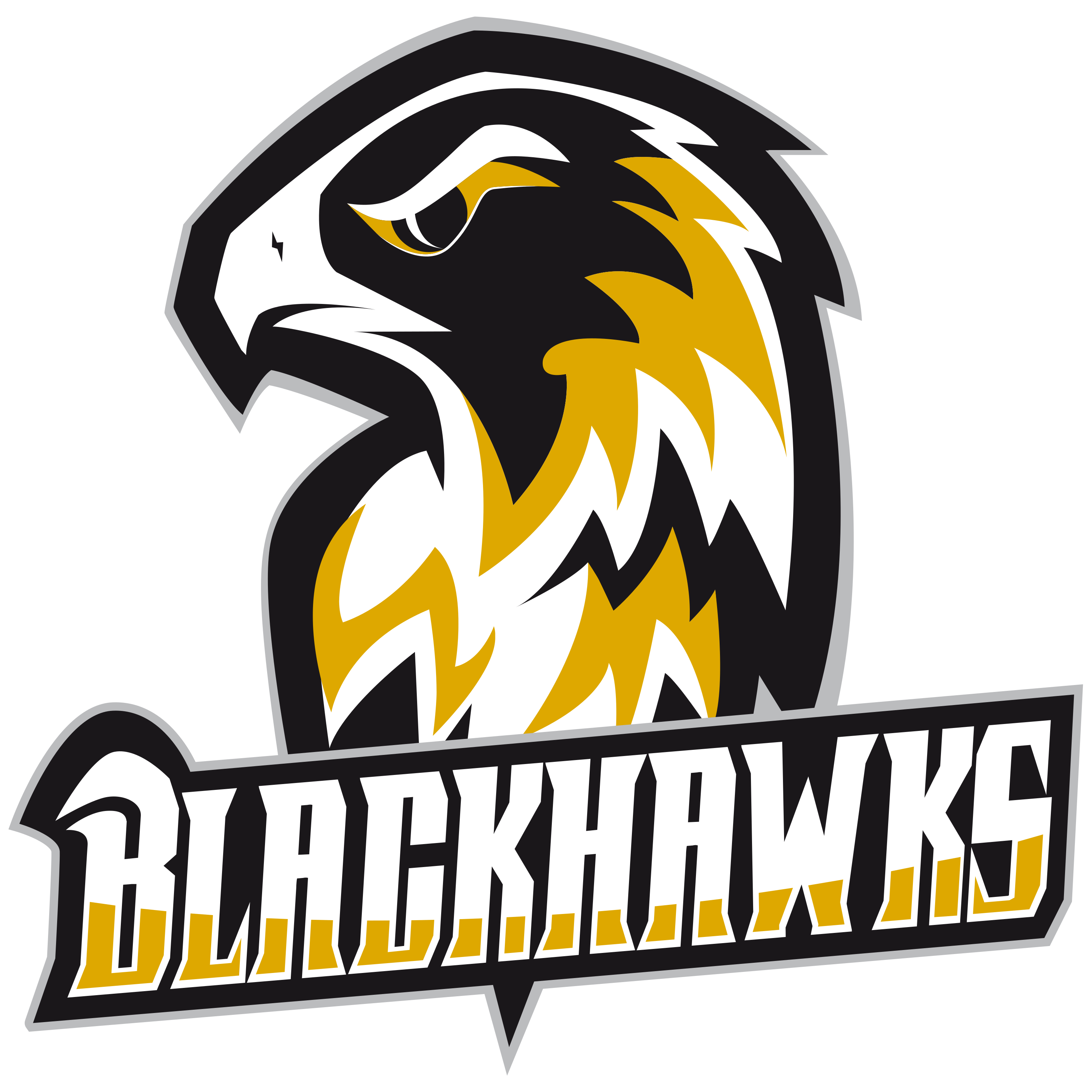 Blackhawks Logo  Transparent Image