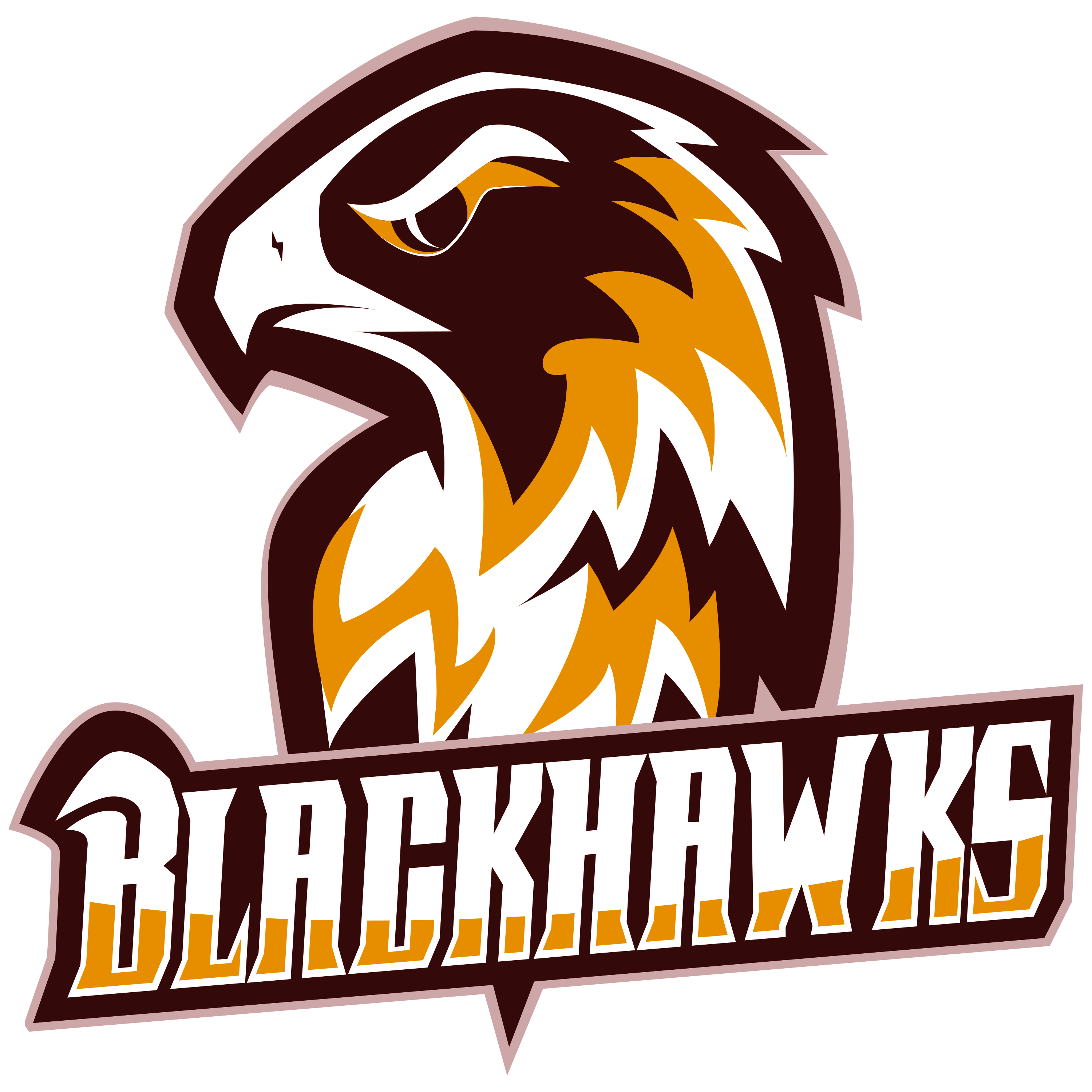 Blackhawks Logo  Transparent Photo
