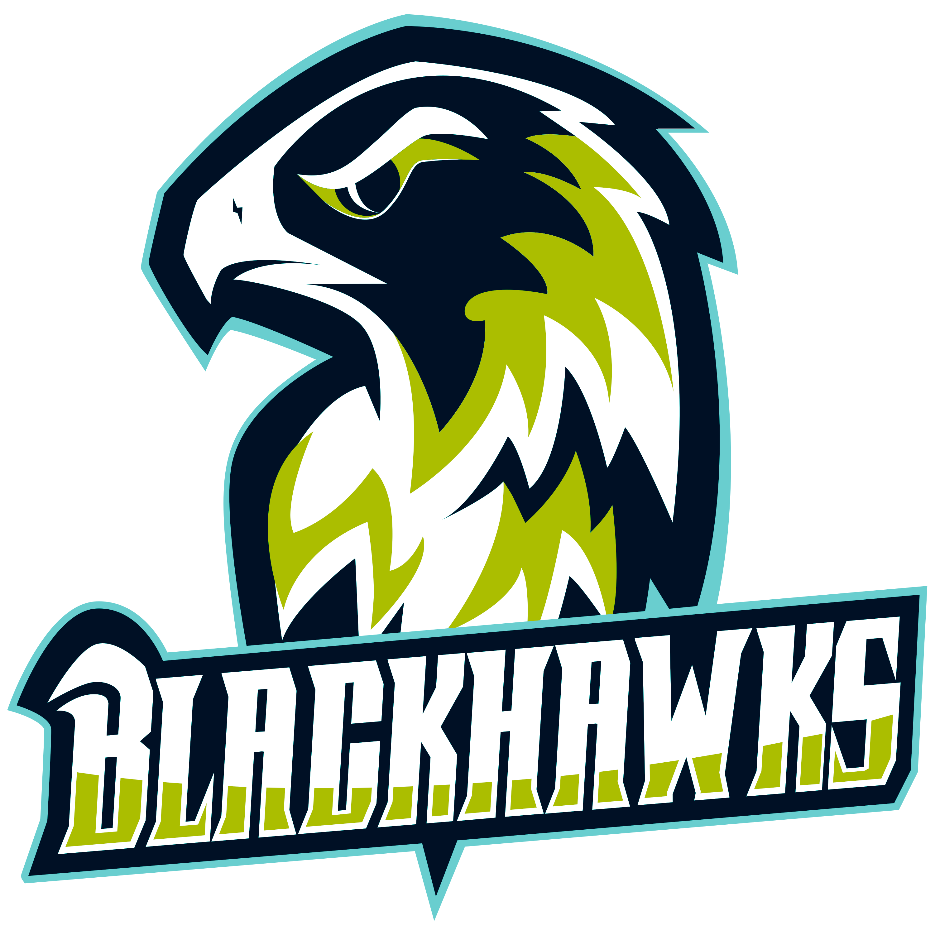 Blackhawks Logo  Transparent Gallery