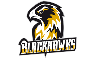 Blackhawks Logo PNG