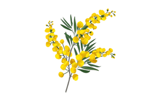 Bloom Sticker PNG