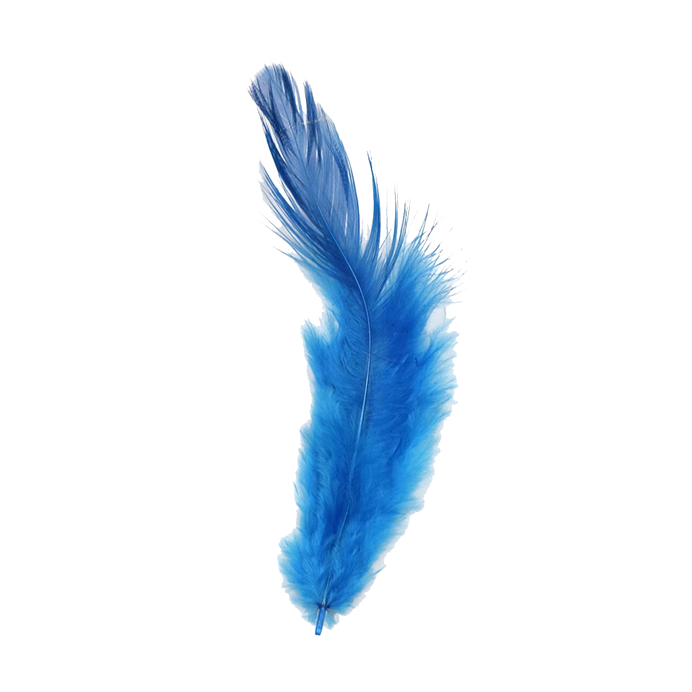Blue Feather Transparent Image