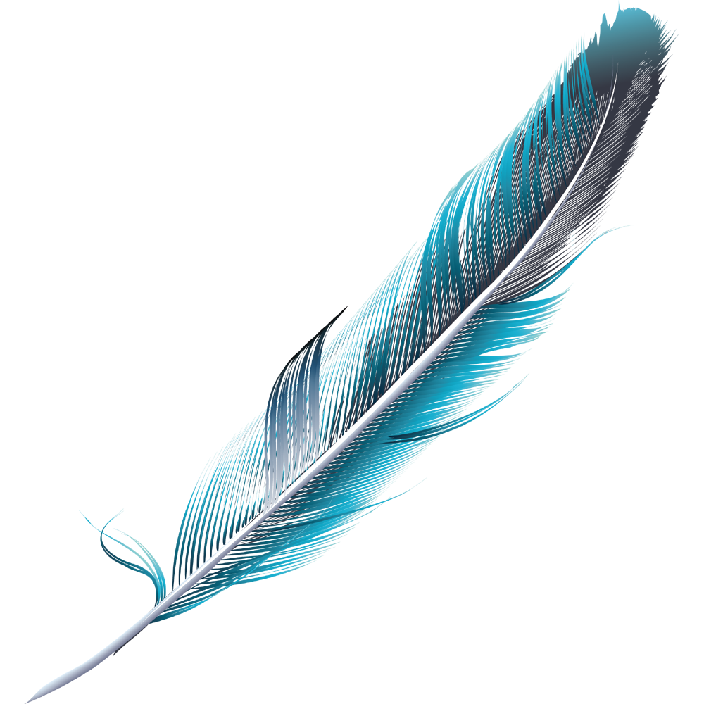 Blue Feather Transparent Picture