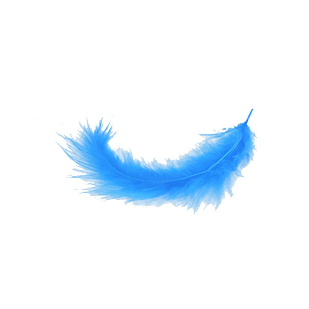 Blue Feather Transparent Clipart