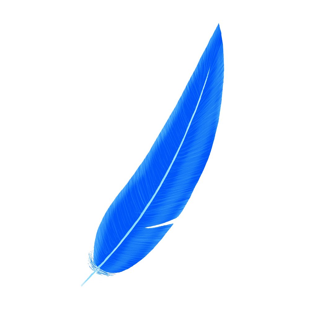 Blue Feather Transparent Gallery