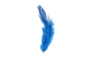 Blue Feather PNG