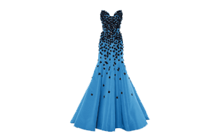 Blue Gown PNG