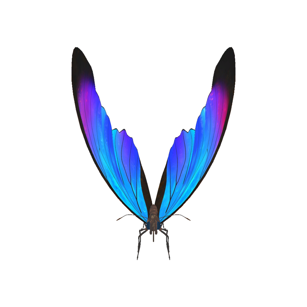 Blue Morpho Butterfly  Transparent Clipart