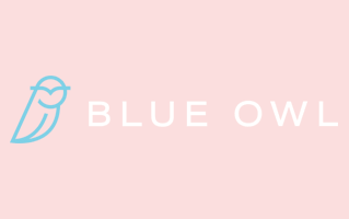 Blue Owl Logo PNG