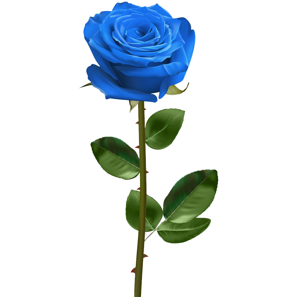 Blue Rose Transparent Image