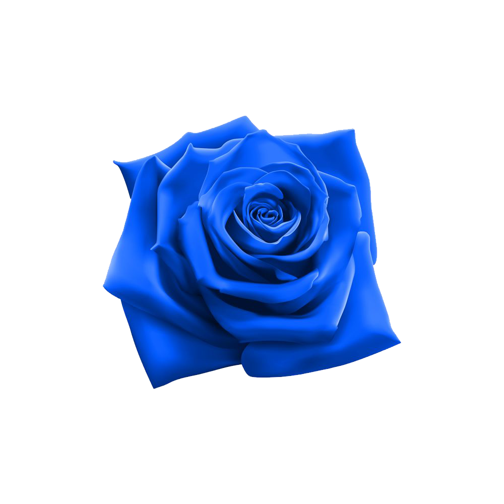 Blue Rose Transparent Photo