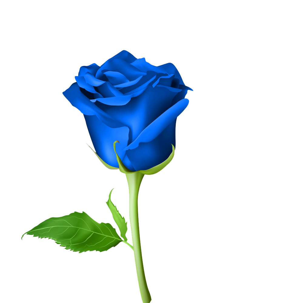 Blue Rose Transparent Clipart