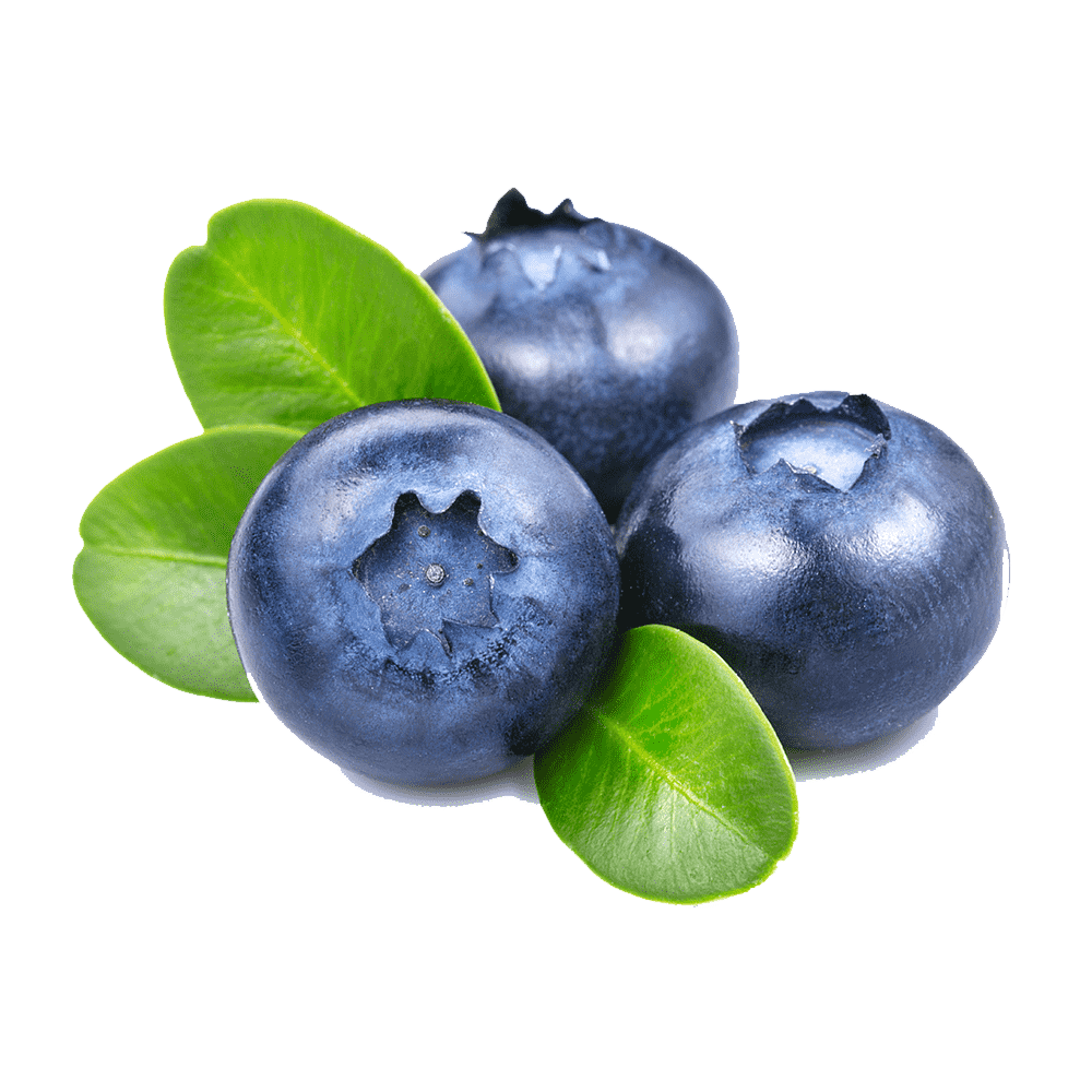 Blueberry Transparent Clipart