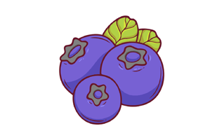 Blueberry Sticker PNG