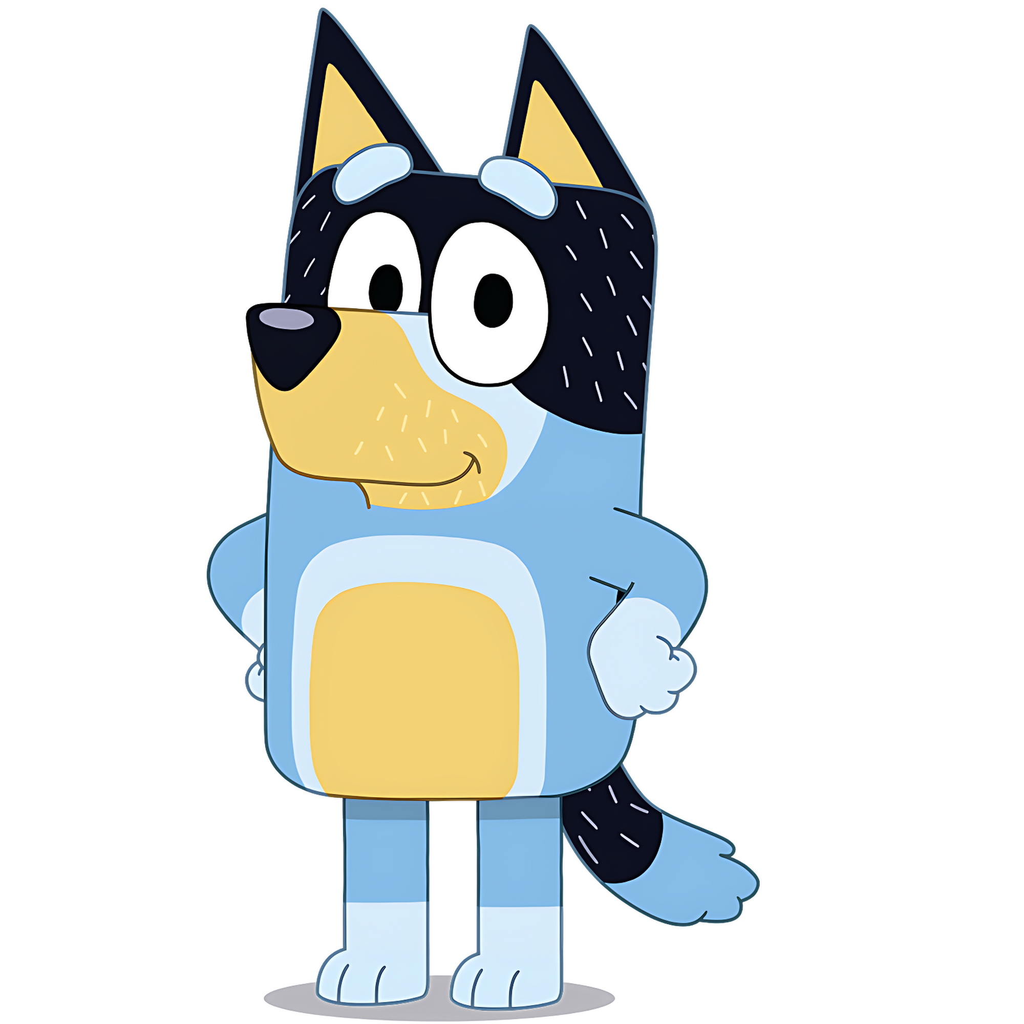 Bluey Dog Transparent Picture