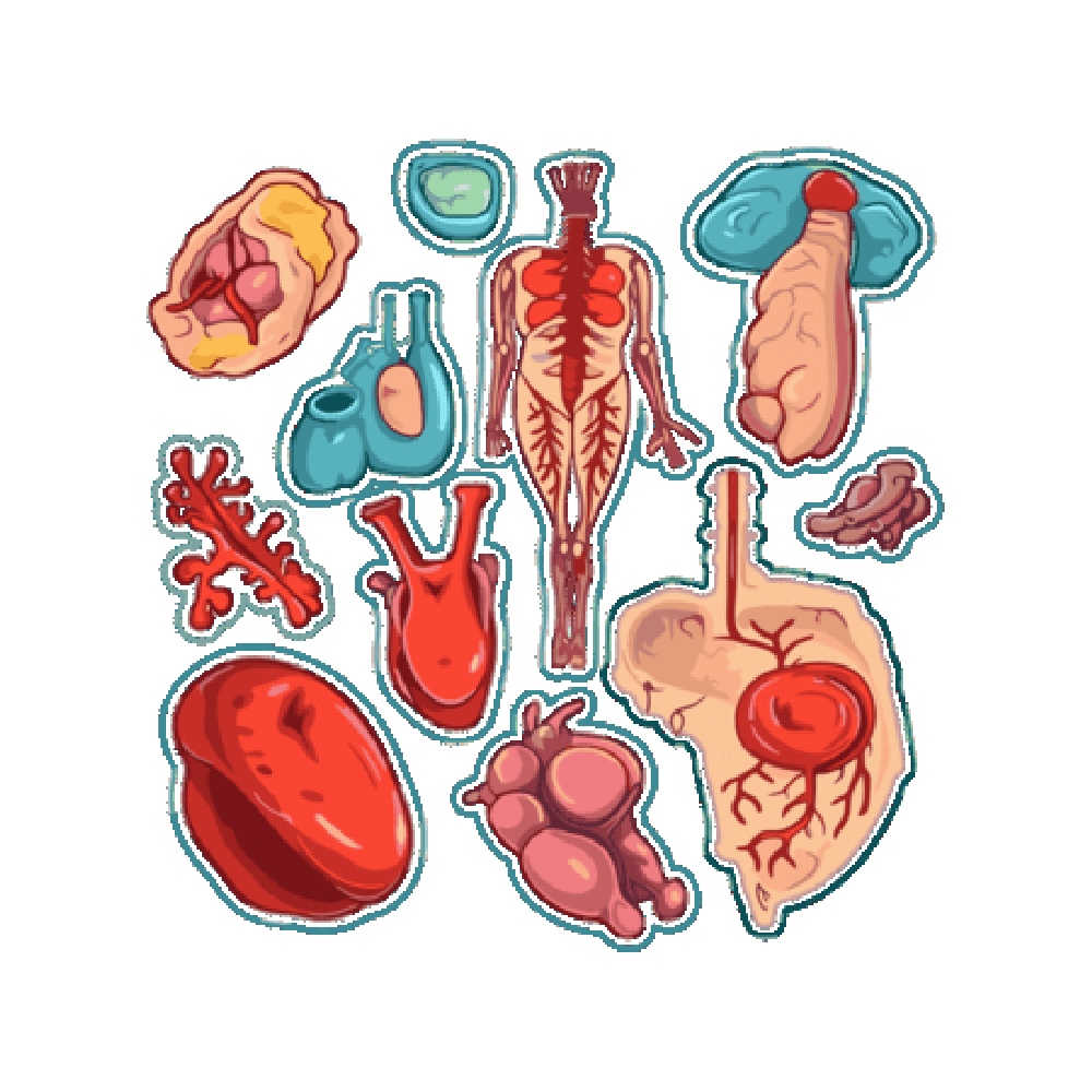 Body Organ Free Sticker Transparent Clipart