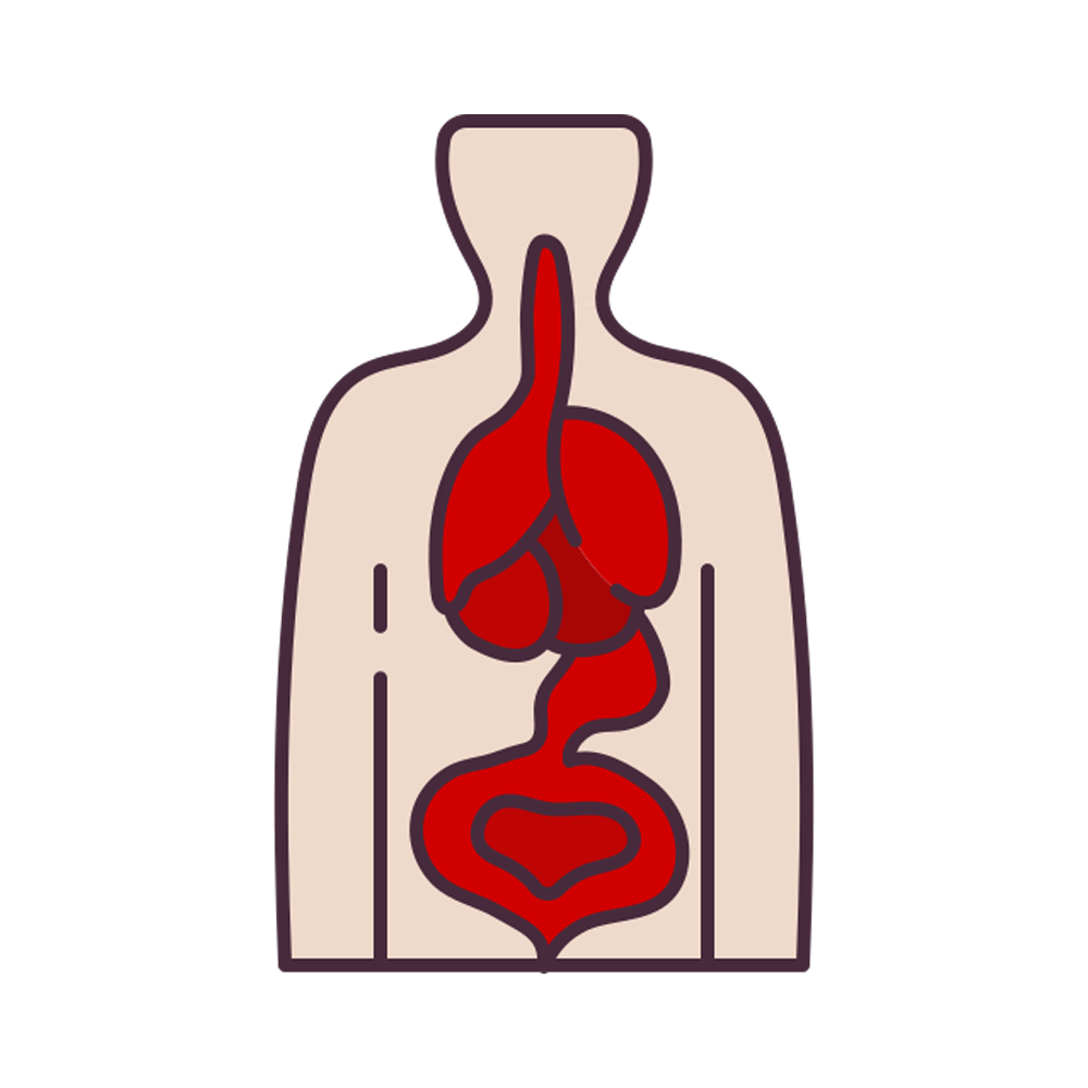 Body Organ Free Sticker Transparent Gallery