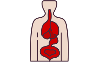 Body Organ Sticker PNG