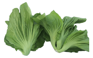 Bok Choy PNG