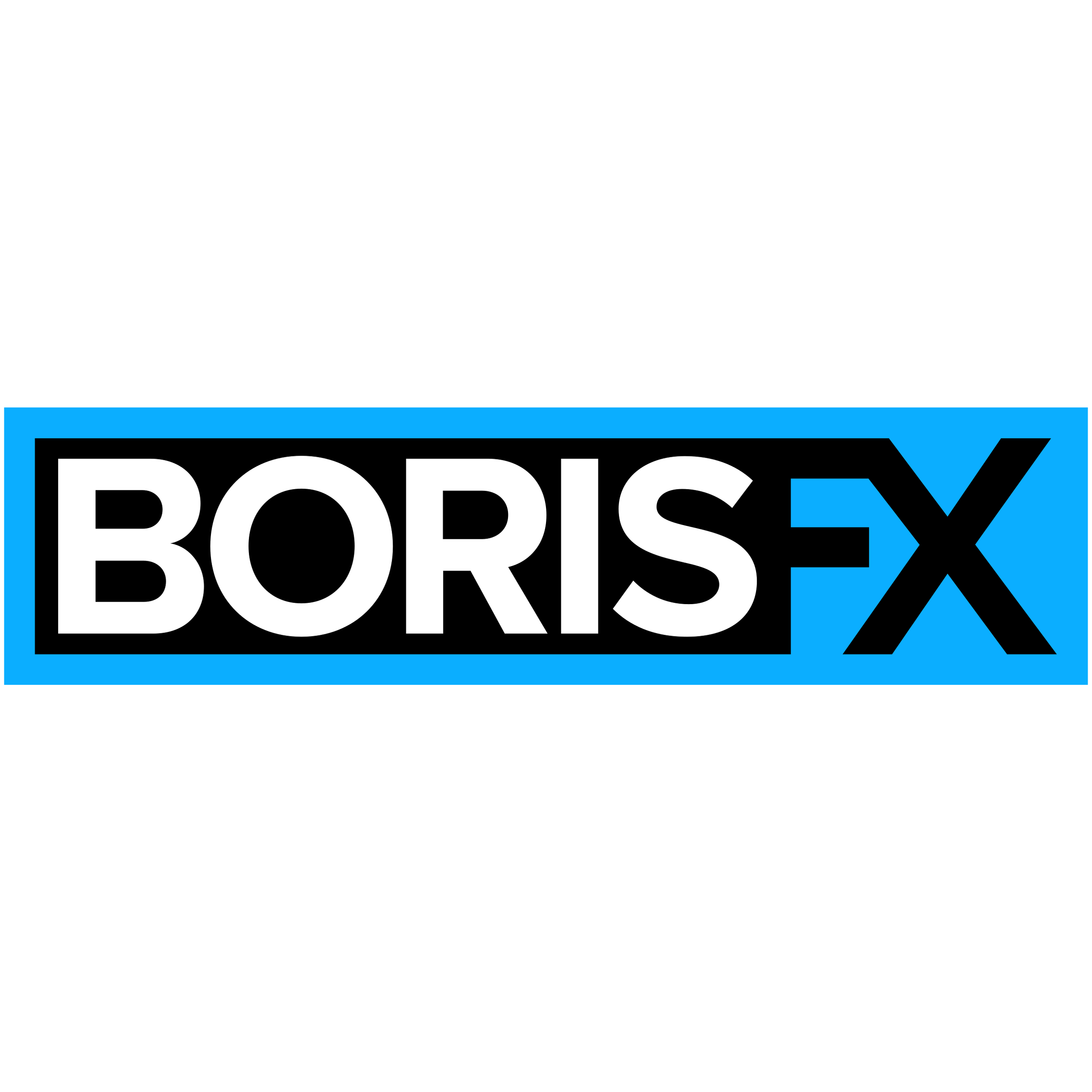 Borisfx Logo  Transparent Image