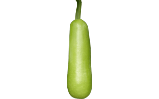 Bottle Gourd PNG