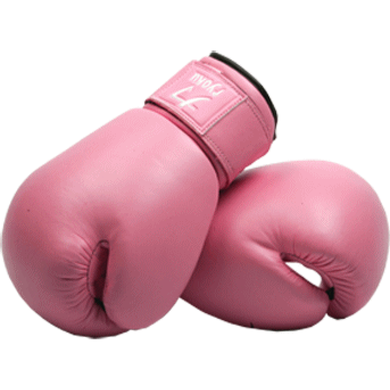 Boxing Gloves  Transparent Photo