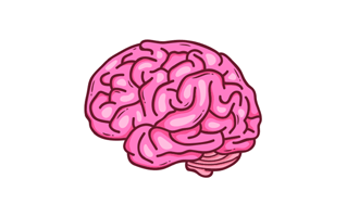 Brain Free Sticker PNG