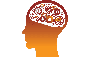 Brain Gears Human PNG