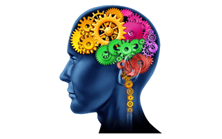 Brain Gears PNG