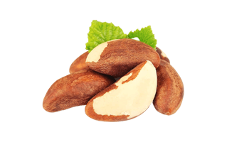 Brazil Nuts PNG
