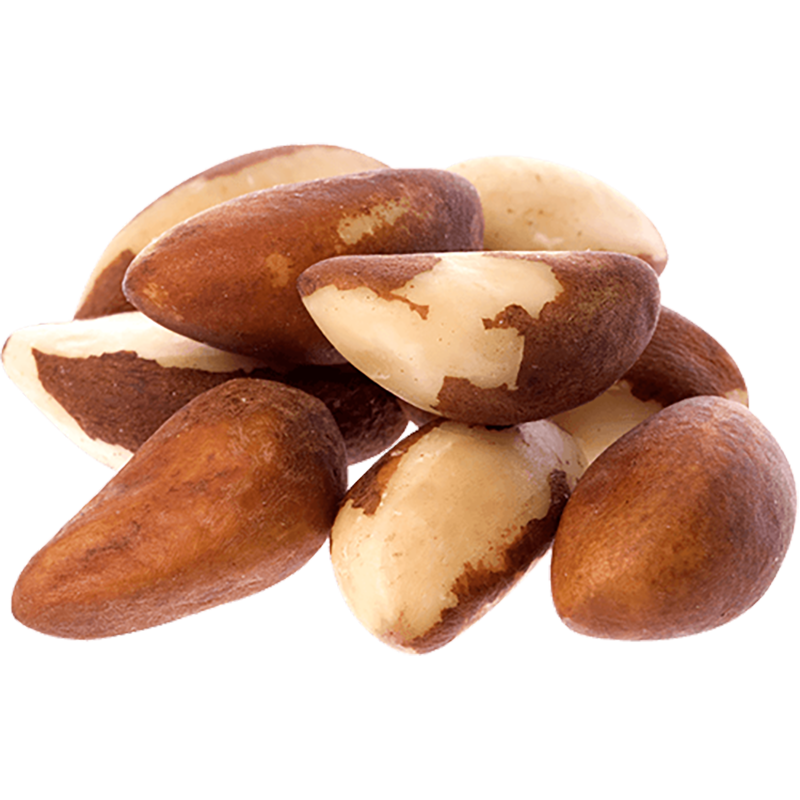 Brazil Nuts Transparent Clipart
