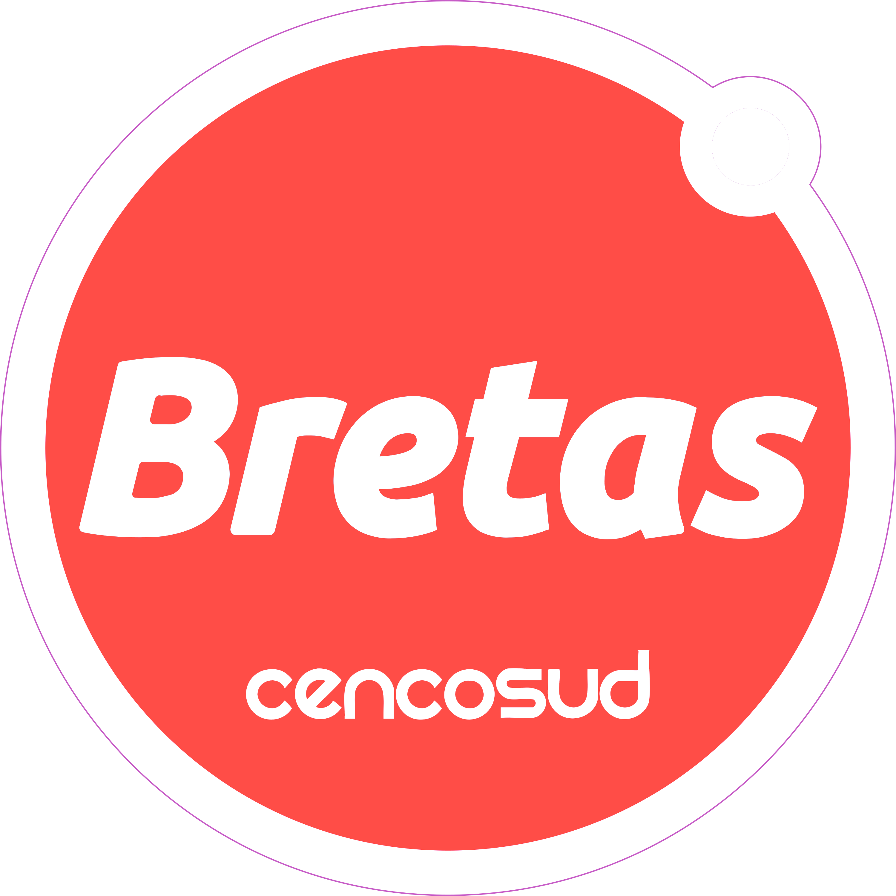 Bretas Logo Transparent Picture
