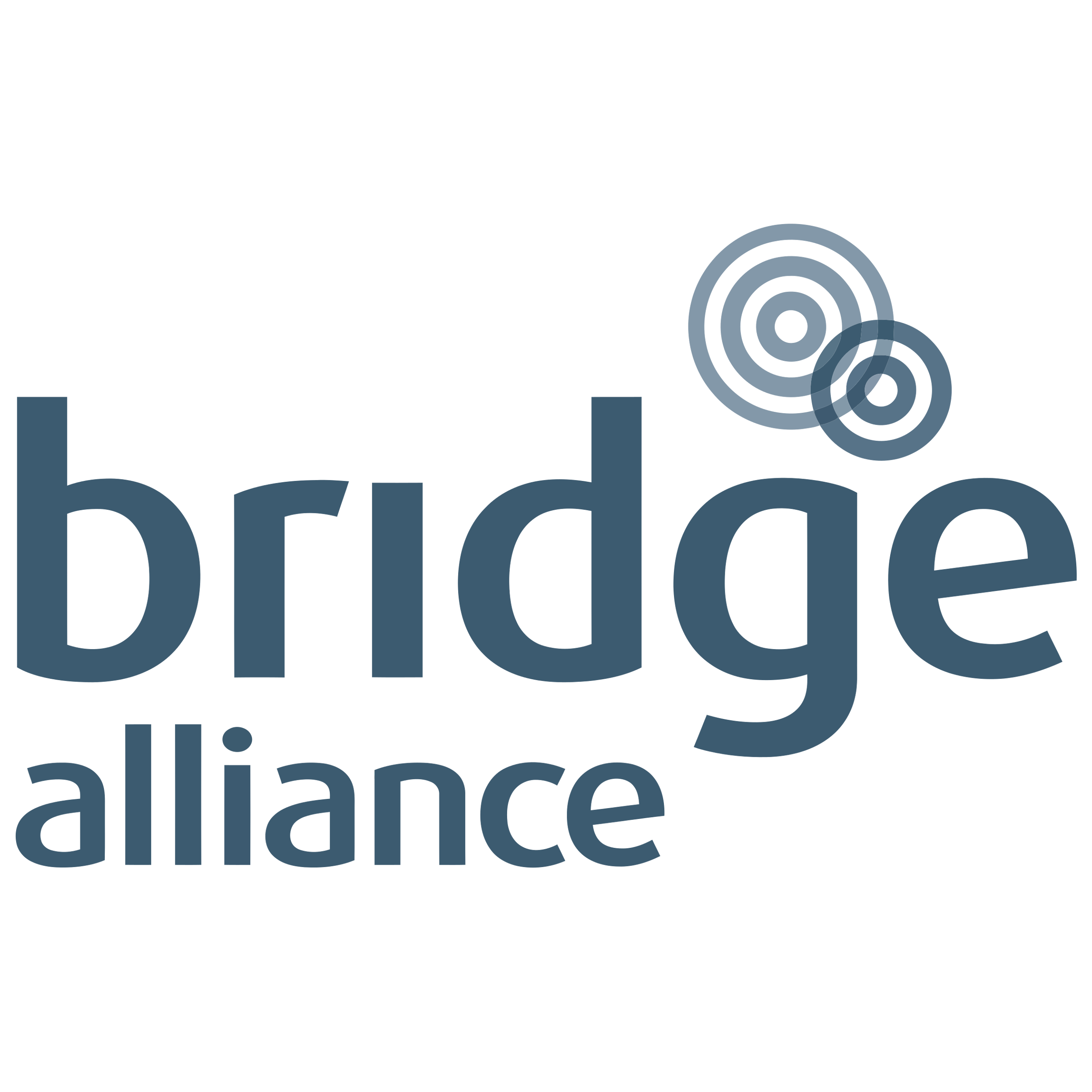 Bridge Alliance Logo  Transparent Image