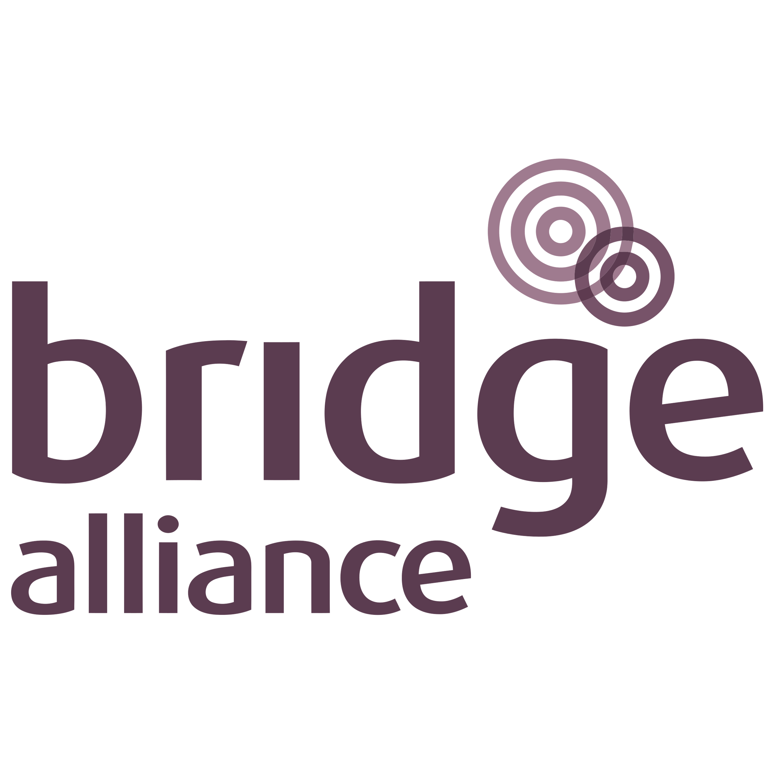 Bridge Alliance Logo  Transparent Photo