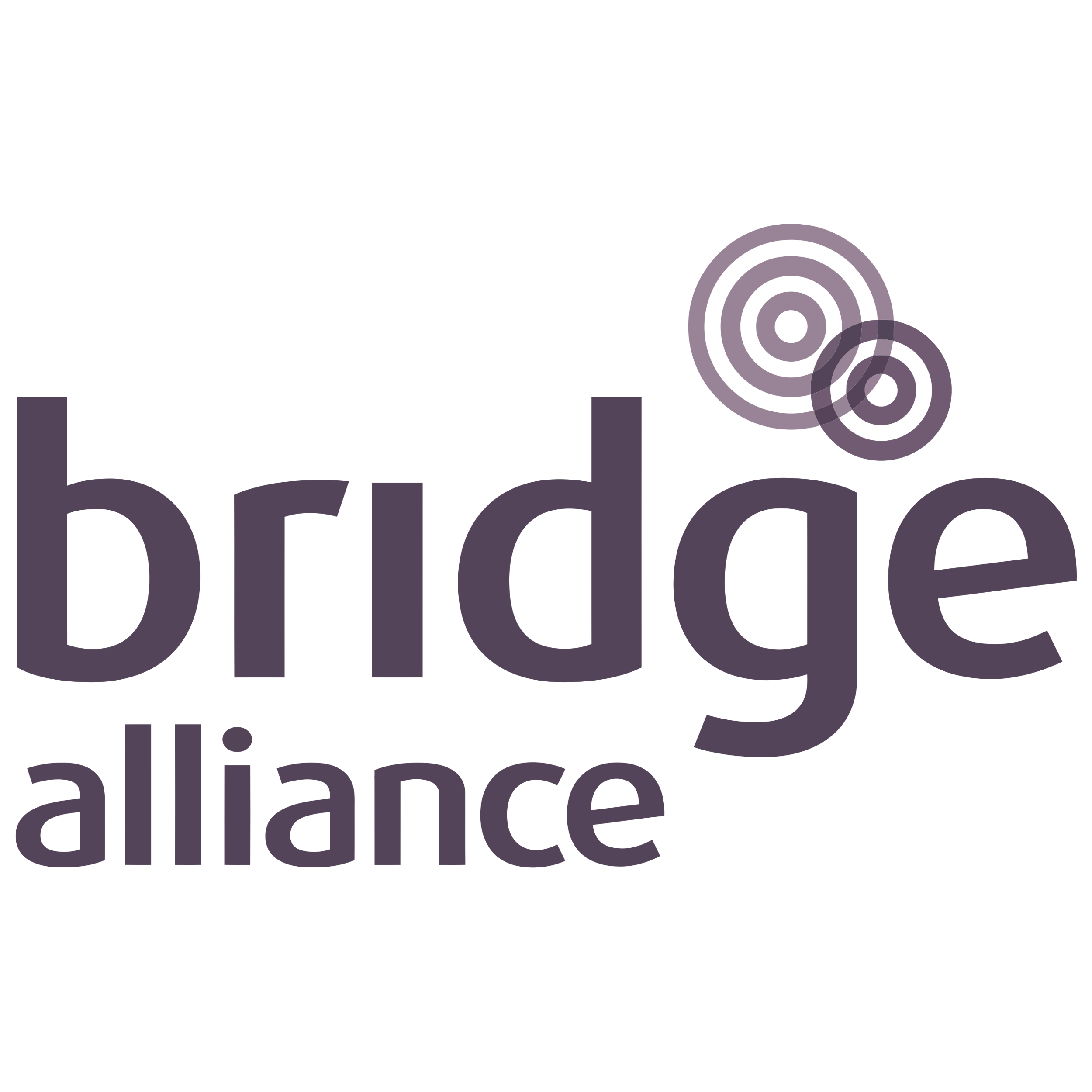 Bridge Alliance Logo  Transparent Clipart