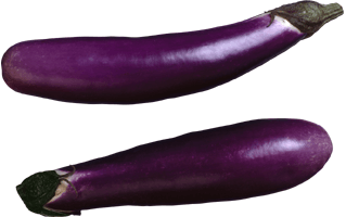 Brinjal PNG