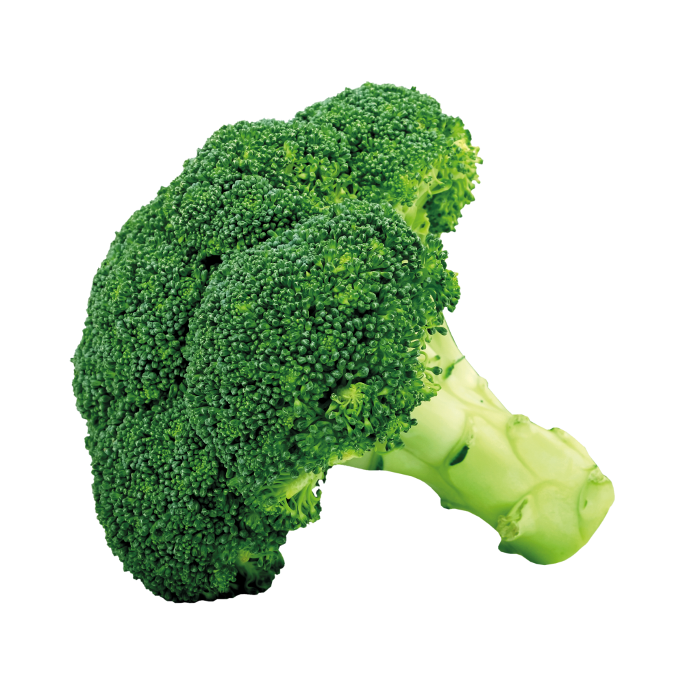 Broccoli  Transparent Photo