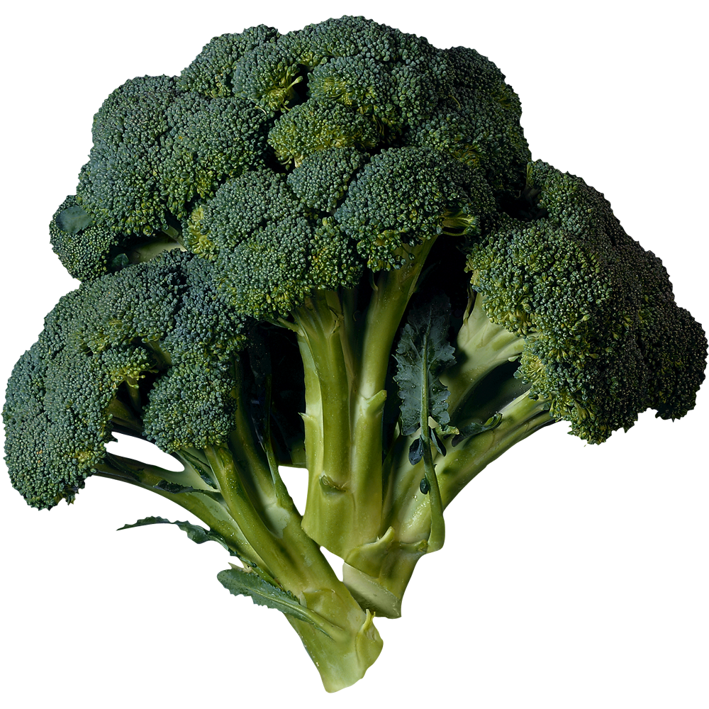 Broccoli  Transparent Clipart