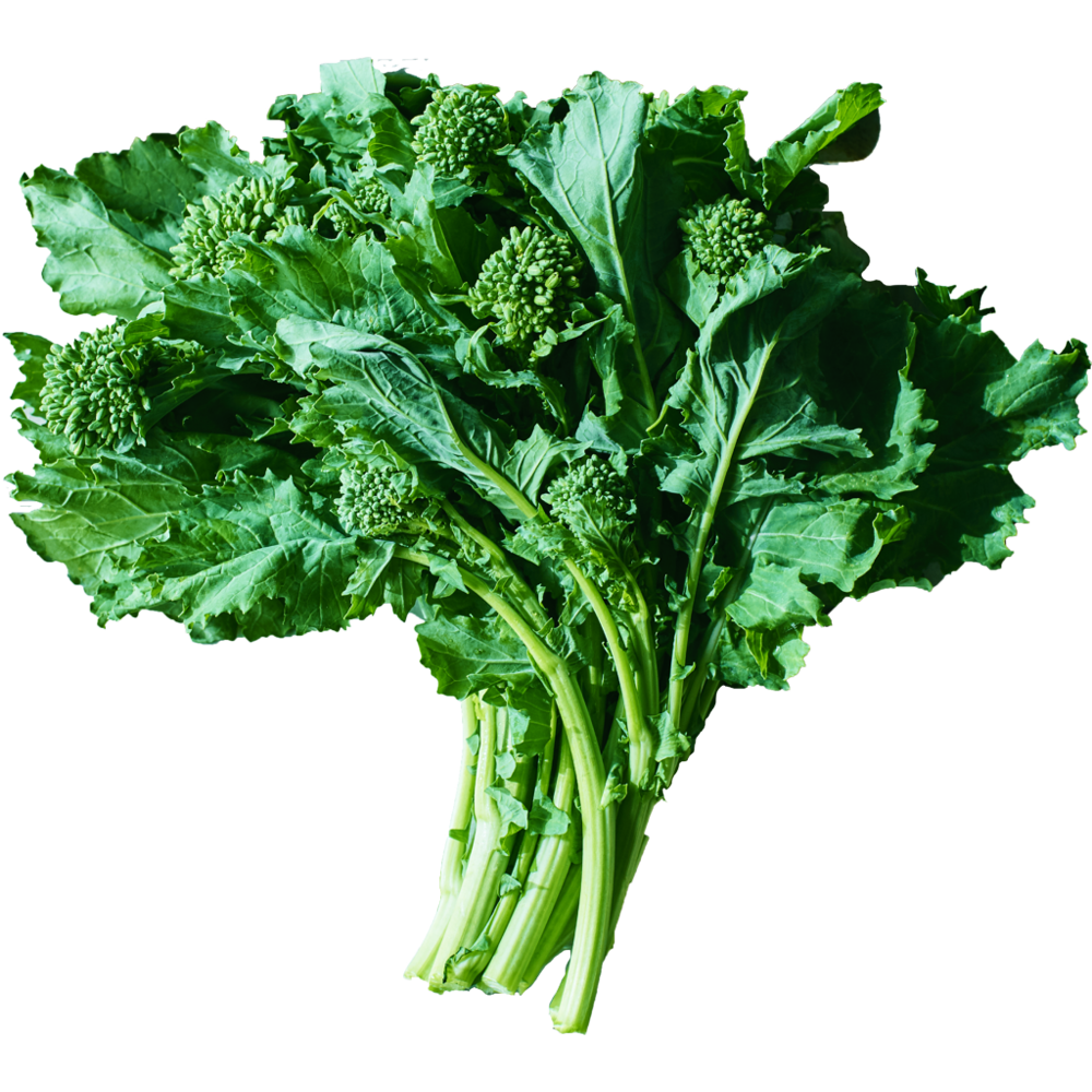Broccoli Rabe  Transparent Clipart