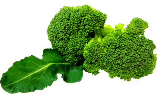 Broccoli PNG