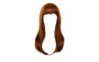 Brown Hair PNG