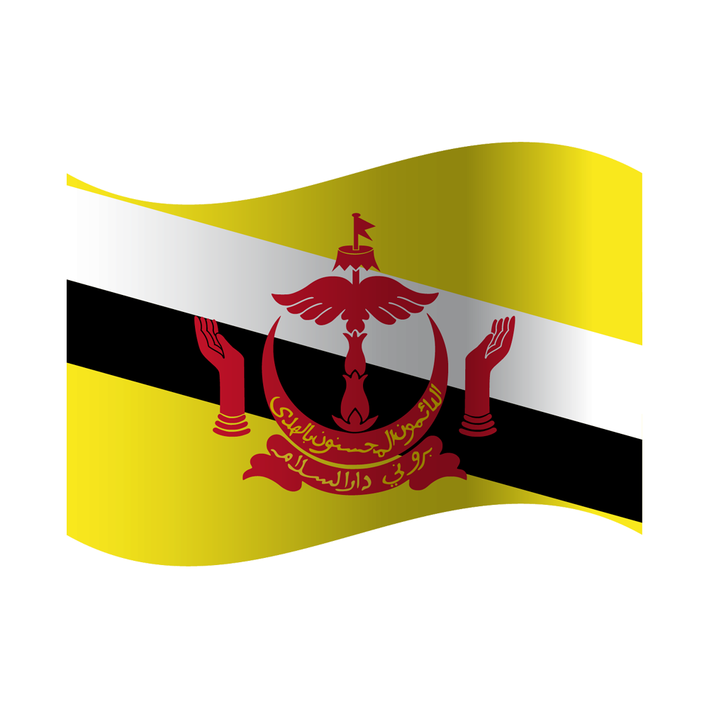 Brunei Flag Transparent Picture